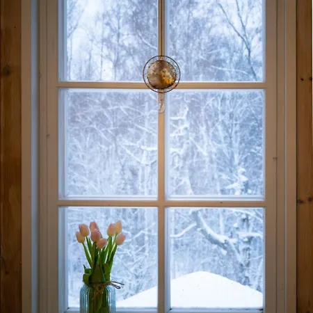 Kolin Mattila B&B Колинкюла Экстерьер фото