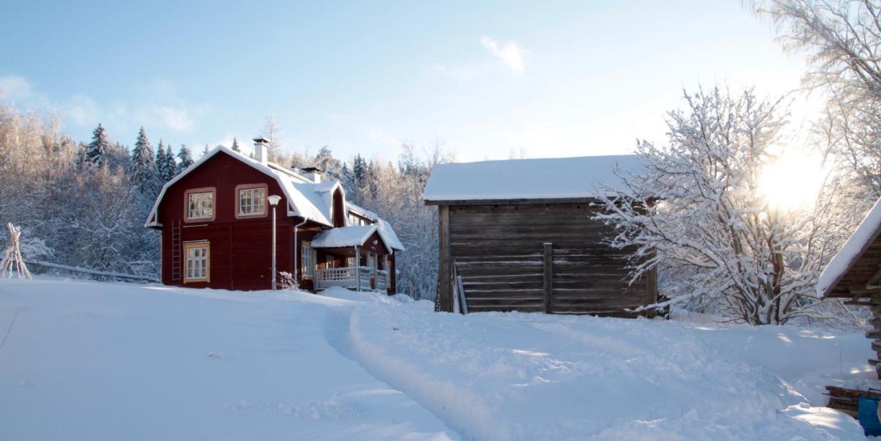 Kolin Mattila B&B Koli (Lieksa)